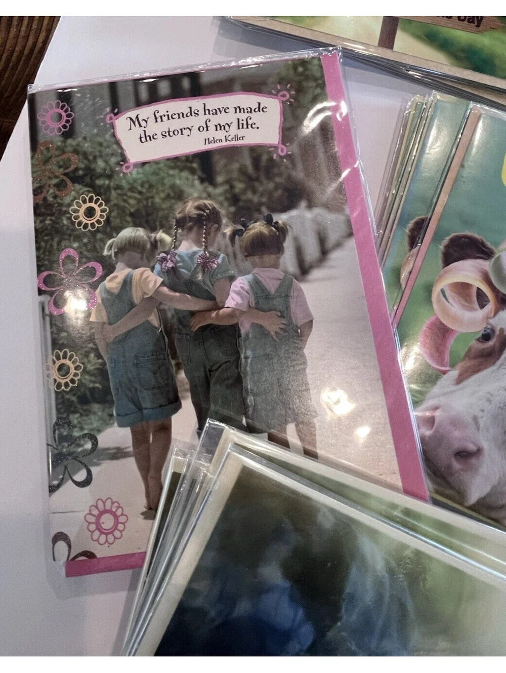Greeting Cards-Retirement Friendship & Blank 19 Cards & Envelopes New GC110